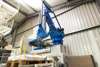 YASKAWA MPL500 II ha utilizzato il braccio del robot industriale per il carico utile del posto e della scelta 500kg