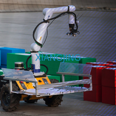 Il carico utile 2kg ha utilizzato il robot di ABB