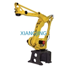 Fanuc ha utilizzato il robot industriale per Palletizer con la macchina robot del pallet del braccio di 4 assi