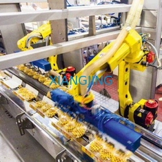 Robot industriale utilizzato asse dell'imballaggio 6 con il carico utile robot 12kg del manipolatore della mano di braccio